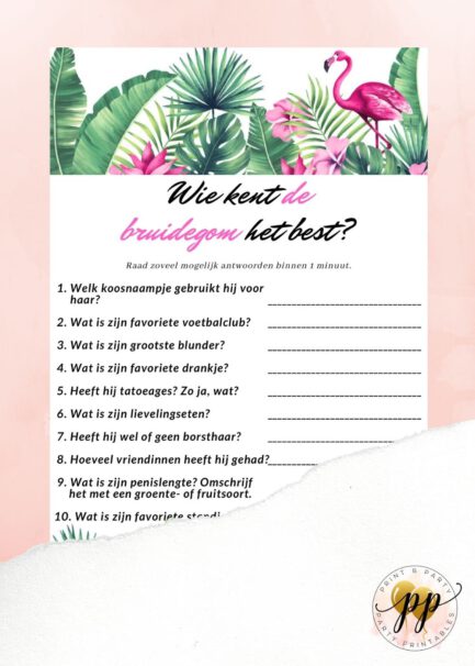 Vrijgezellen - Wie kent de bruidegom het best? - Flamingo