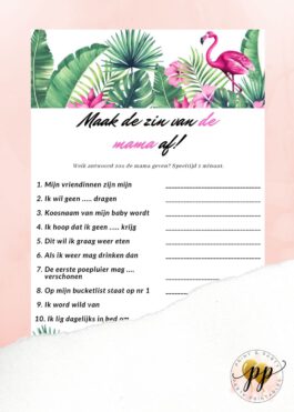 Baby – Maak de zin van de mama af – Flamingo